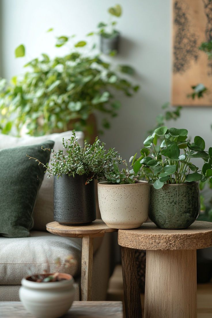 Cara Mudah Menciptakan Rumah yang Hangat dan Menyenangkan